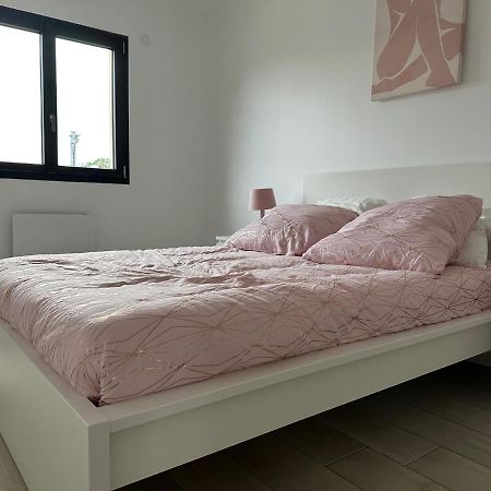 Residence Faidherbe Avec Terrasse Et Jardin Champigny-sur-Marne Luaran gambar