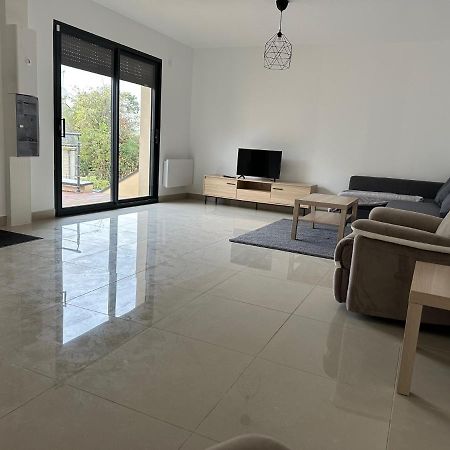 Residence Faidherbe Avec Terrasse Et Jardin Champigny-sur-Marne Luaran gambar
