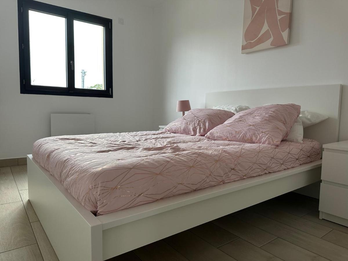 Residence Faidherbe Avec Terrasse Et Jardin Champigny-sur-Marne Luaran gambar